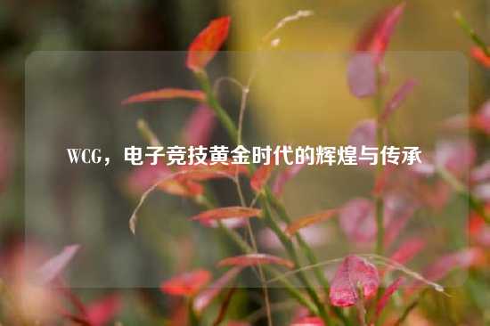 WCG，电子竞技黄金时代的辉煌与传承