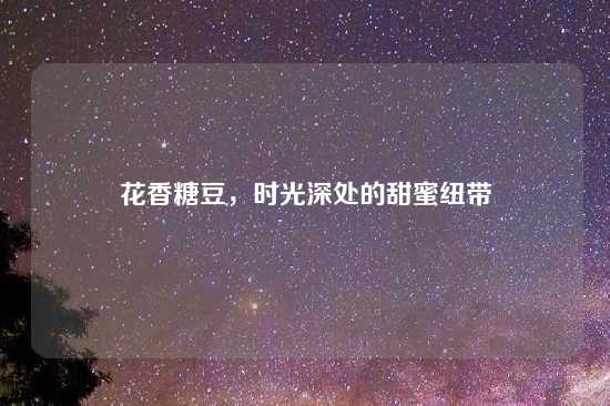花香糖豆，时光深处的甜蜜纽带