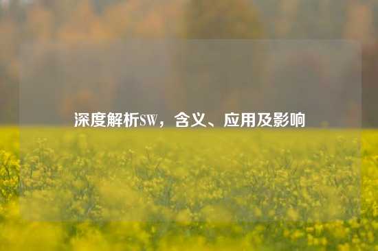 深度解析SW，含义、应用及影响