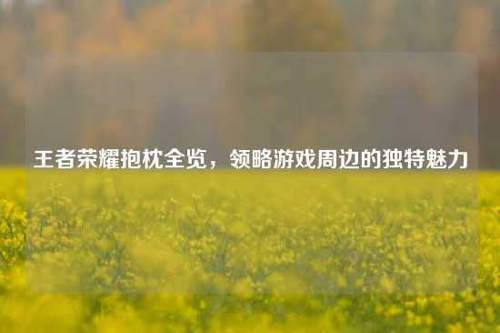 王者荣耀抱枕全览，领略游戏周边的独特魅力