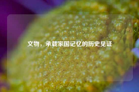 文物，承载家国记忆的历史见证