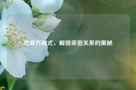 恋爱方程式，解锁亲密关系的奥秘