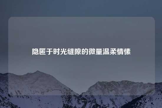 隐匿于时光缝隙的微量温柔情愫
